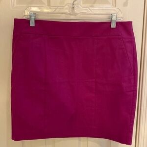Ann Taylor Madison skirt size 10​